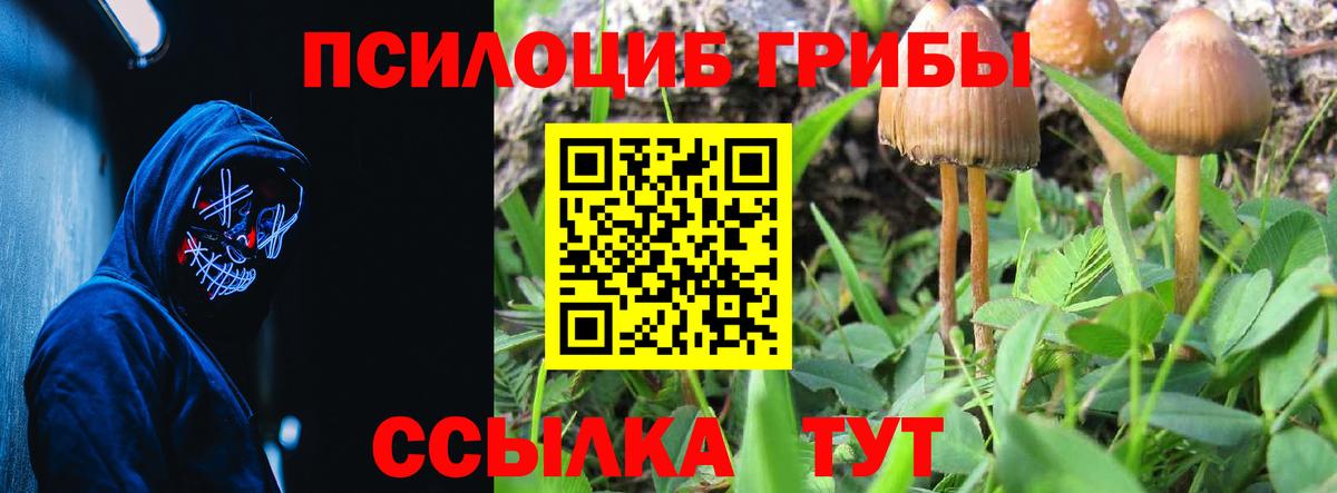 Галлюциногенные грибы ЛСД Видное