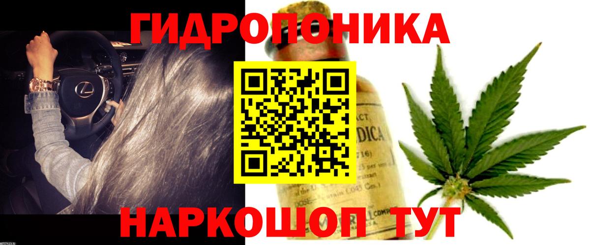Конопля план Видное